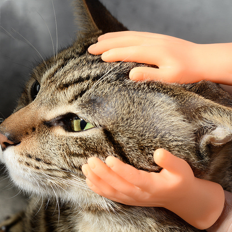 Vibrato With The Same Net Celebrity Finger Sets To Tease Cats And Cat Toys